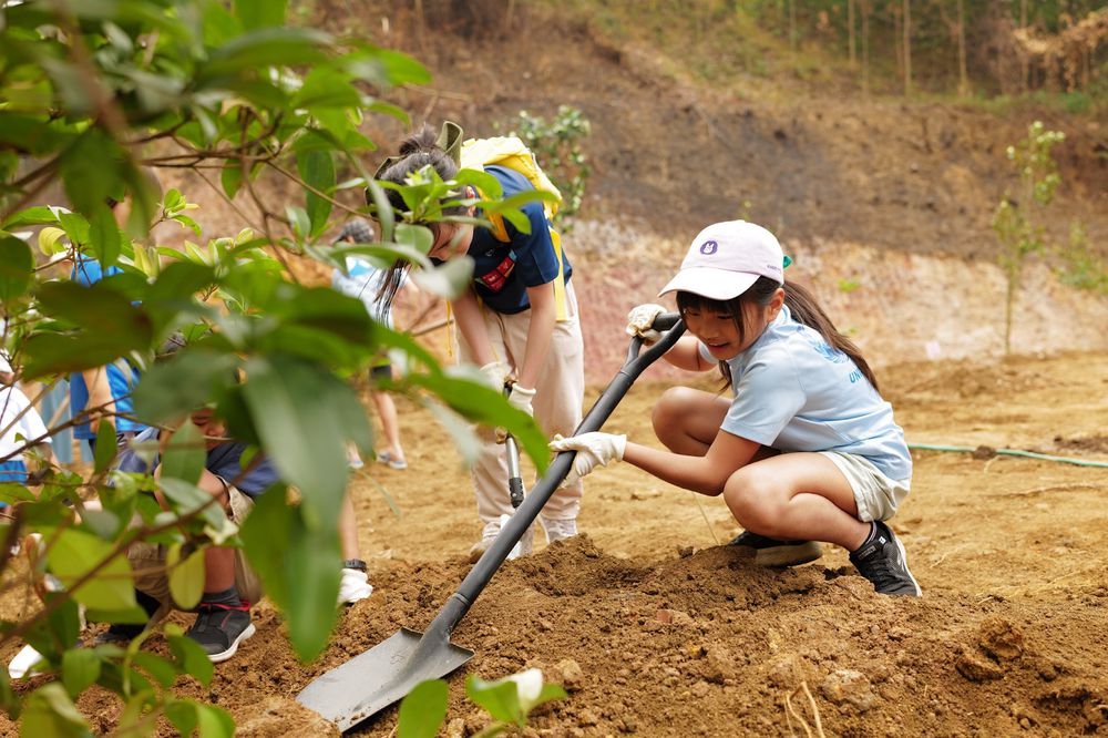 Nature Projects