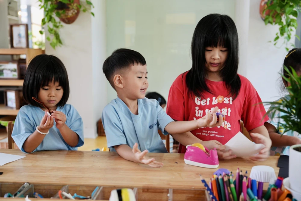 What Makes the IB Programme Distinctive – Features and Value