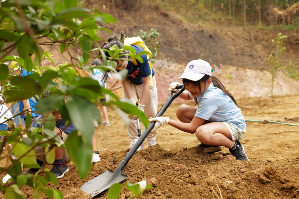 Công Dân Toàn Cầu và Cánh Cửa Mới Cho Hành Trình Phát Triển