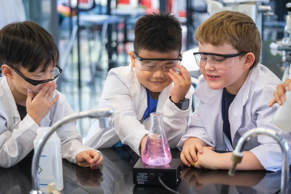 Tham gia Tranh luận nhỏ 