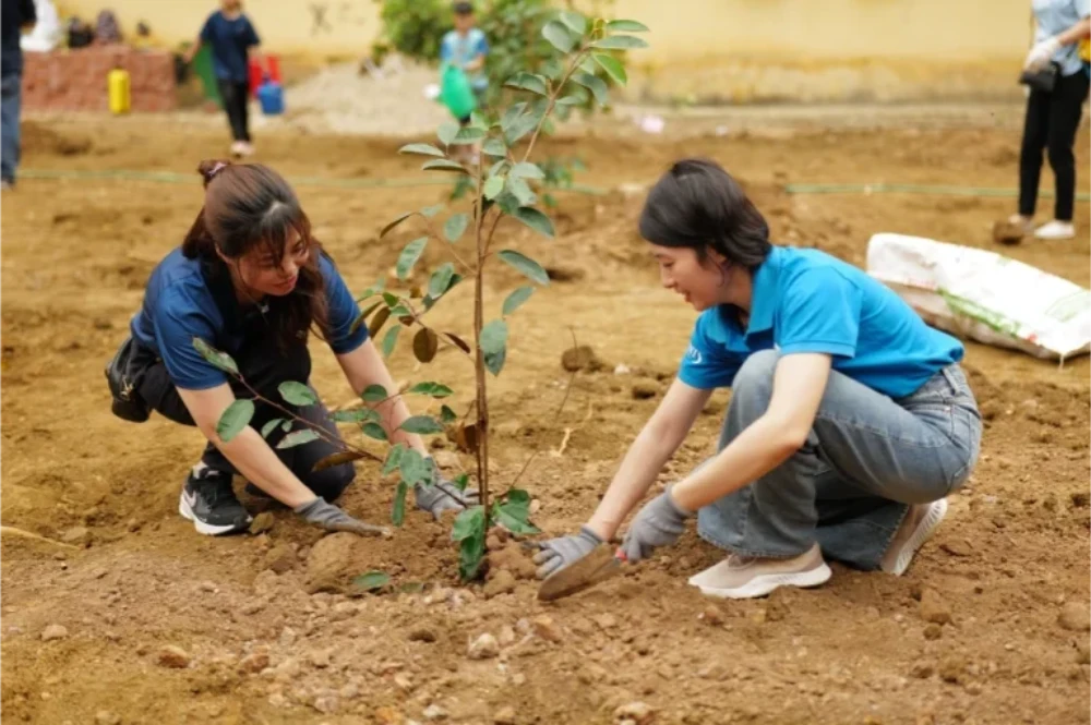 12 Hoạt Động Ngoài Trời Khuyến Khích Sự Khám Phá Sáng Tạo