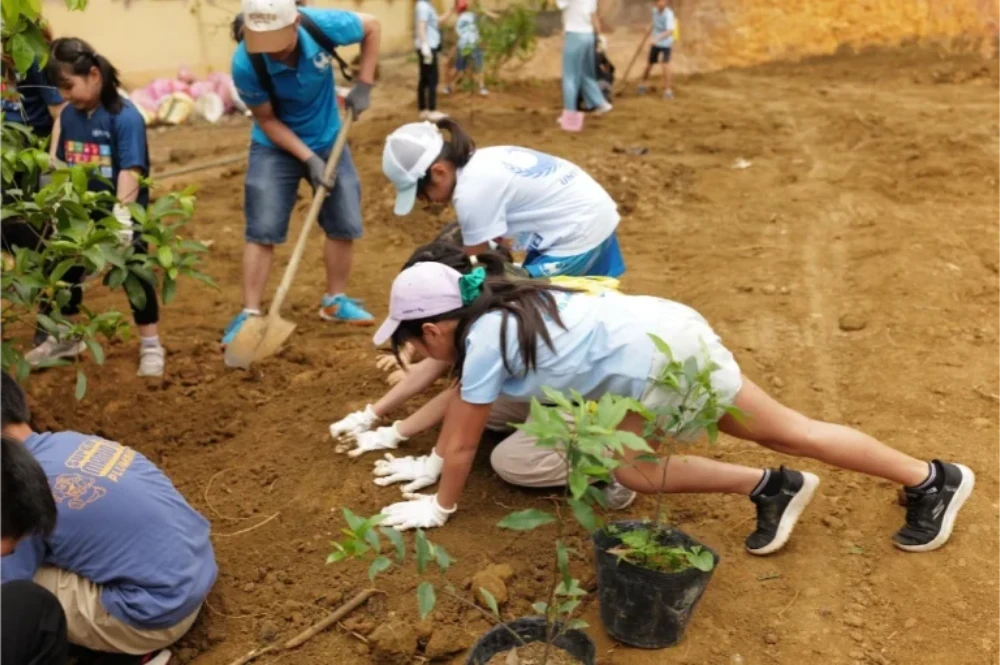 Trò Chơi Tìm Kiếm Kho Báu Trong Tự Nhiên